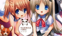 日本动漫肉片,日本动漫肉片大揭秘