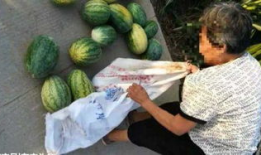 曲阳吃瓜最新事件爆料,揭秘背后惊人真相